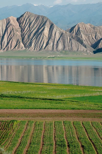 Lac de montagne des hautes terres Toktogul au Kirghizistan — Photo