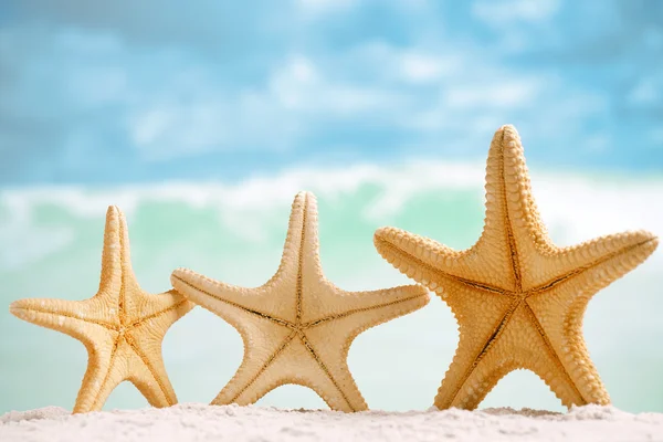 Red starfish with ocean — Stock Photo, Image