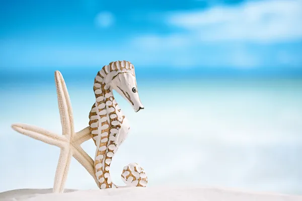 Seahorse met witte starfish — Stockfoto