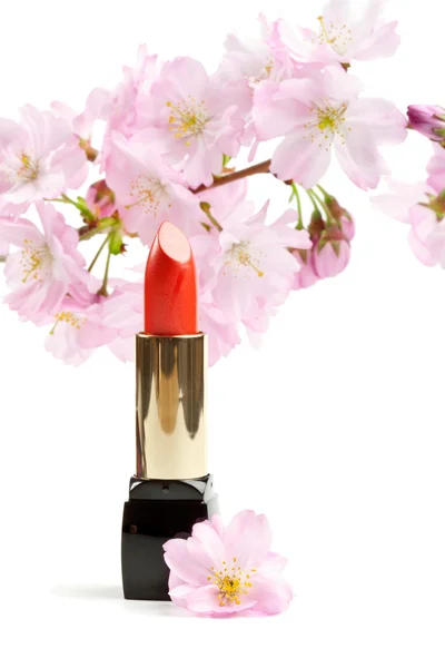 Natural cosmetics concept: new lipstick with sakura flowers, iso — Stock Photo, Image