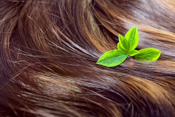 Hair care concept: beautiful shiny hair with highlights and gree