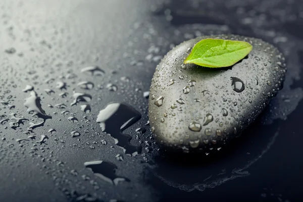 Green leaf on spa stone on wet black surface — Stock Photo, Image