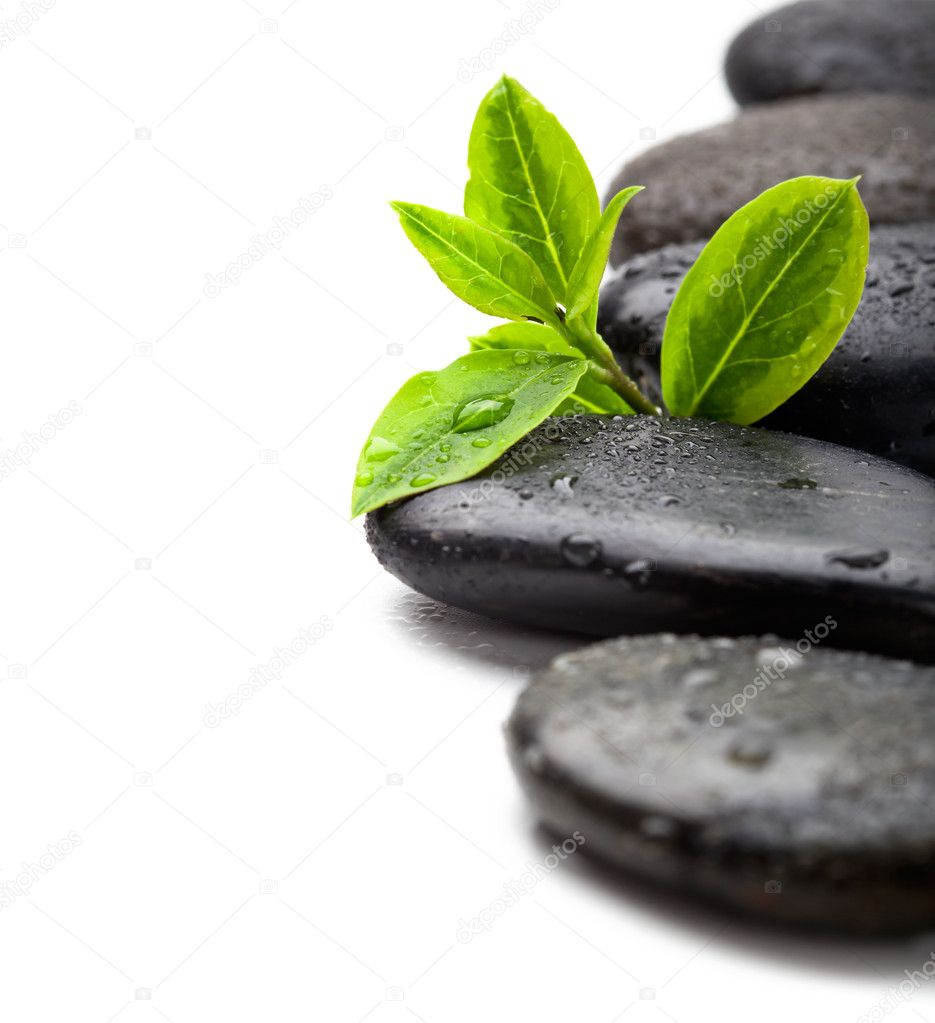 Green leaves with spa stones, isolated on white