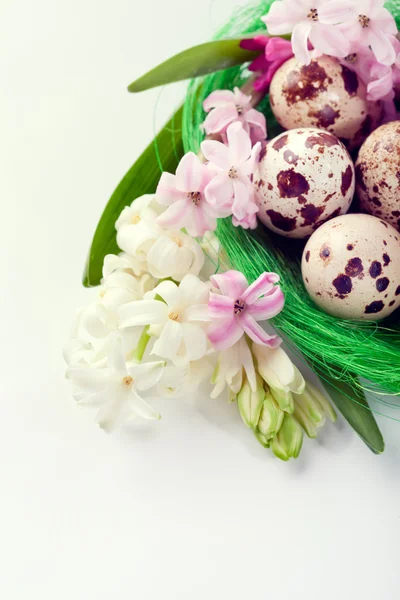 Påskesetting med vaktelegg og hyasinthblomster – stockfoto