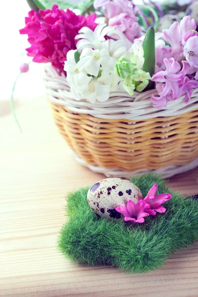 Ajuste de Pascua con huevos de codorniz y flores de jacinto — Foto de Stock