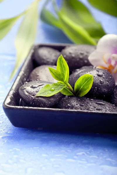 Grüne Bambusblätter und Wellness-Steine auf nassem blauen Hintergrund — Stockfoto