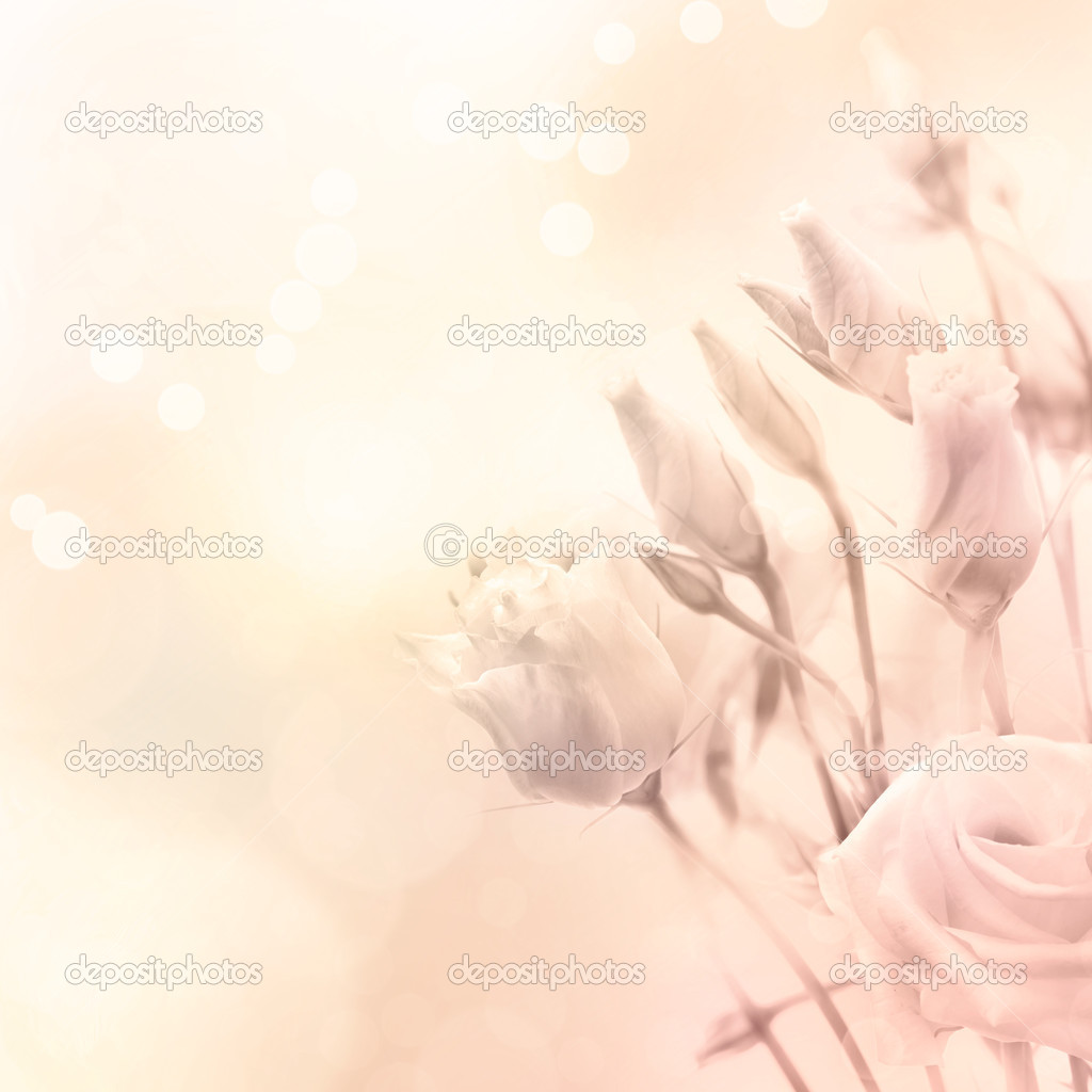 Beautiful flowers in magic light, toned photo