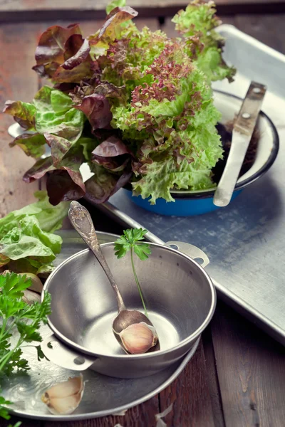 Old metal bowl, trays and kitchen utensils with lettuce and parsley — Stock Photo, Image