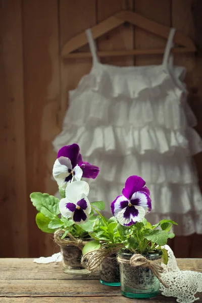 Pansies in glass pots and a white summer dress on a hanger — Stock Photo, Image