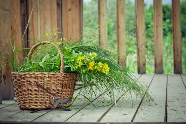 Basket of wild flowers and grass and old pruning shears on count — Stock Photo, Image