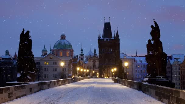 Karlsbrücke (Prag)) — Stockvideo