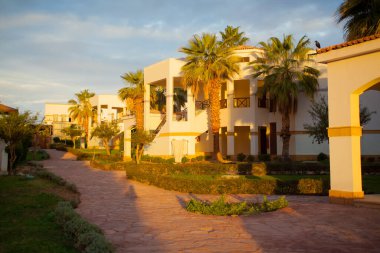 trip to Egypt, summer rest