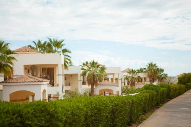 trip to Egypt, summer rest