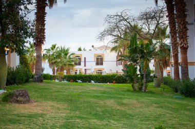 trip to Egypt, summer rest