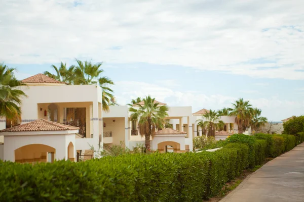 trip to Egypt, summer rest