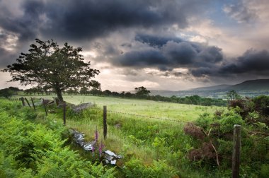 mesafe ile dağlarda genelinde kırsal manzara resmi