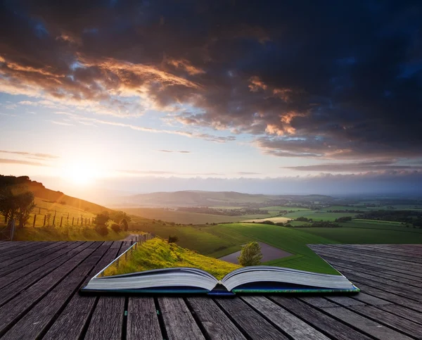 Creative concept image of Summer landscape in pages of book — Stock Photo, Image