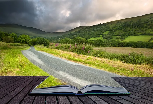 Concetto creativo immagine del paesaggio estivo in pagine di libro — Foto Stock