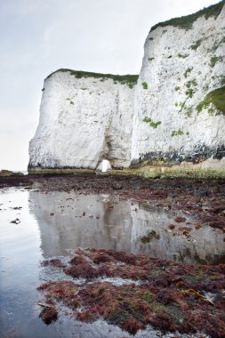 yaşlı kayalar harry jurassic coast unesco dorset İngiltere'de düşük tide at
