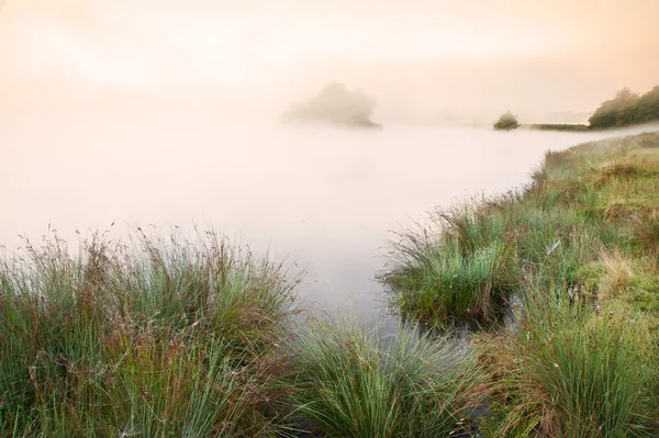 Bellissimo autunno Autunno paesaggio sopra nebbioso lago nebbioso wih glowin — Foto Stock