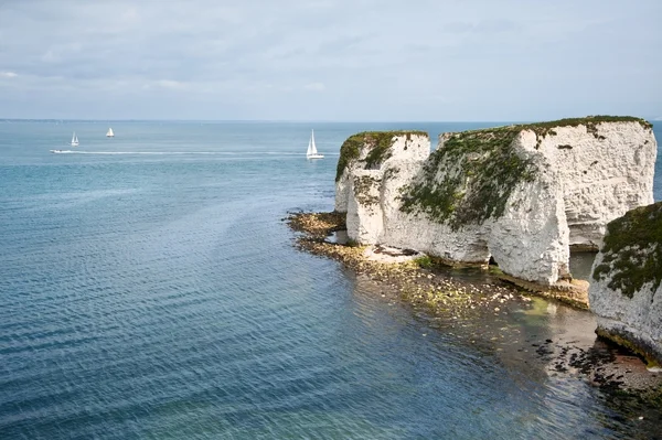 Old Harry Rocks Jurassic Coast UNESCO Dorset England — Stock Photo, Image