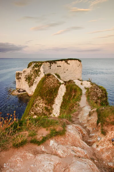 Old Harry Rocks Jurassic Coast UNESCO Dorset England at sunset — Stock Photo, Image