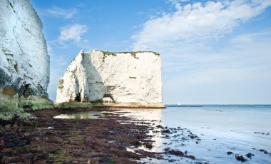 yaşlı kayalar harry jurassic coast unesco dorset İngiltere'de düşük tide at