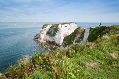 Old Harry Rocks Jurassic Coast UNESCO Dorset England clipart