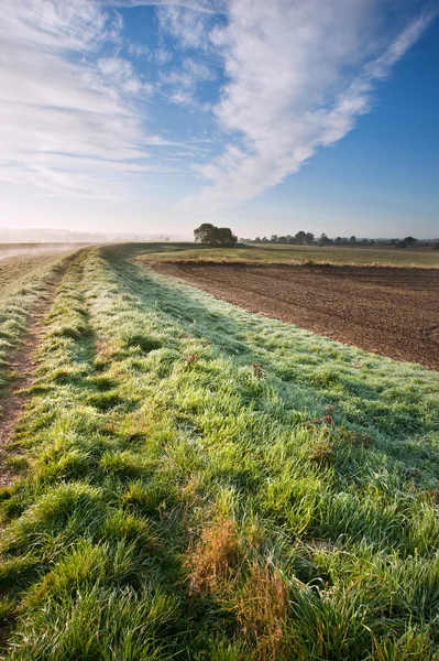 Autumn dawn landscape over frosty misty fields — Stock Photo, Image