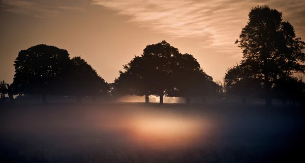 Nebel, der in hellen Sonnenstrahlen in der Landschaft glüht — Stockfoto