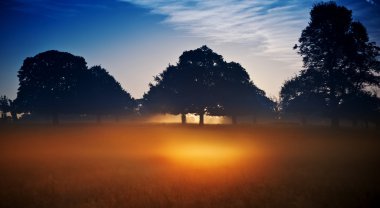 Fog glowing in bright rays of sunrise in landscape clipart
