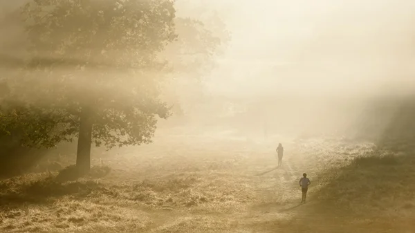 Joggers in Richmond Park, London on a crisp foggy Autumn morning — Stock Photo, Image