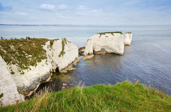 Old Harry Rocks Jurassic Coast UNESCO Dorset England — Stock Photo, Image