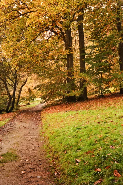 Krásný podzim podzim přírodní obraz krajina — Stock fotografie