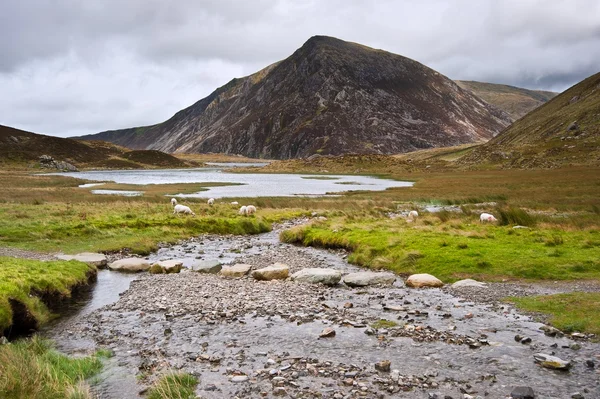 Krajobraz nad llyn góry pióro yr-ole-wen w Parku Narodowego snowdonia, w kierunku na — Zdjęcie stockowe