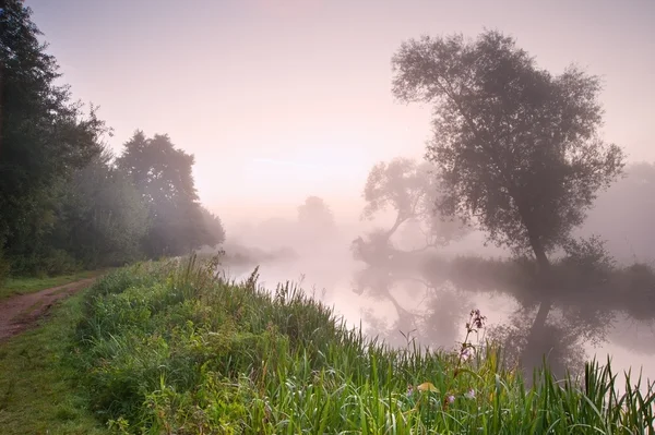 Hermoso paisaje nebuloso amanecer sobre el río con árboles y sol — Foto de Stock