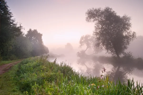 Prachtige mistige zonsopgang landschap over rivier met bomen en sunb — Stockfoto