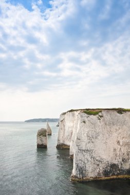 Old Harry Rocks Jurassic Coast UNESCO Dorset England clipart