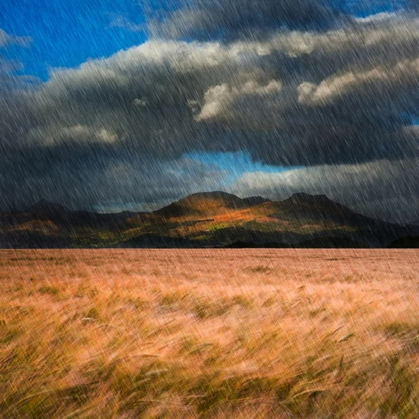 Пейзаж вітряного пшеничного поля перед гірським хребтом з d — стокове фото