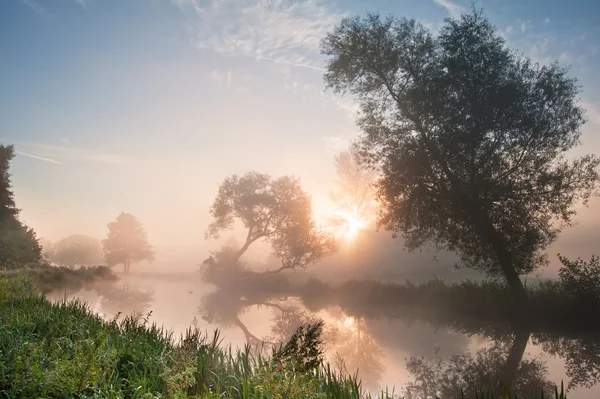 Hermoso paisaje nebuloso amanecer sobre el río con árboles y sol —  Fotos de Stock