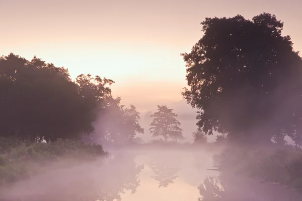 Beautiful foggy sunrise landscape over river with trees and sunb — Stock Photo, Image
