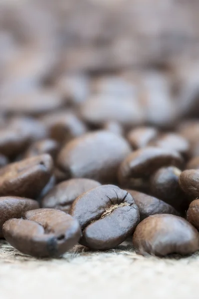 Macro life size close up of coffee beans — Stock Photo, Image