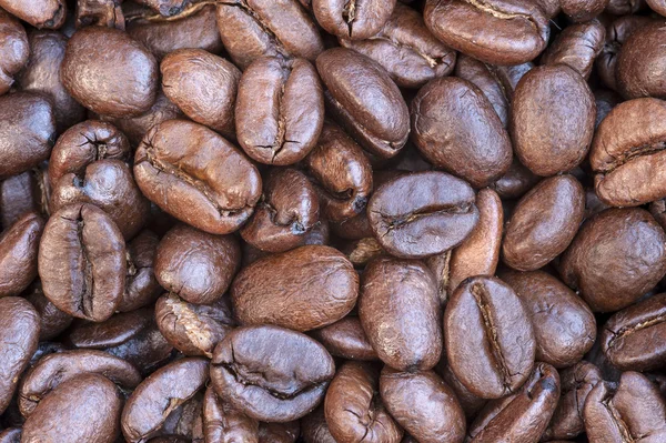 Macro grain de café fond — Photo