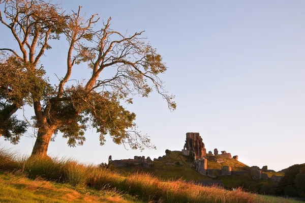 Όμορφο παλιό κάστρο ερείπιο σε φθινόπωρο πρωί — Φωτογραφία Αρχείου