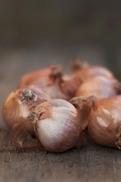 Onion shallots on vintage wooden board — Stock Photo, Image