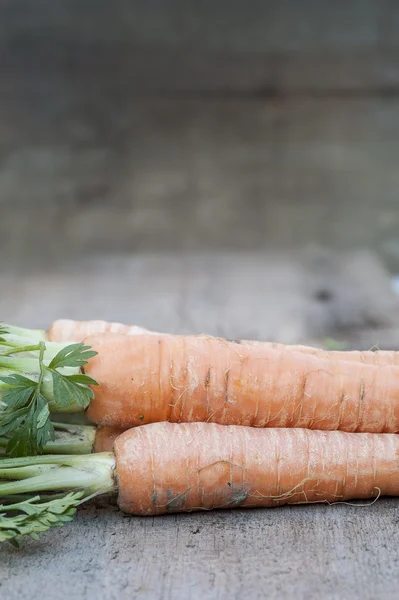 Zanahorias recién extraídas en tablero de madera vintage — Foto de Stock