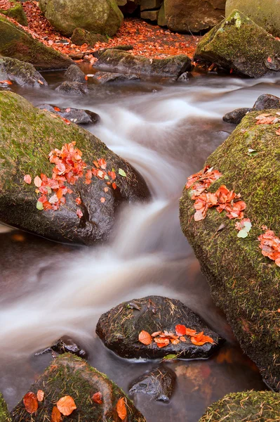 Cachoeira bonita que flui através Outono Queda landscap vibrante — Fotografia de Stock
