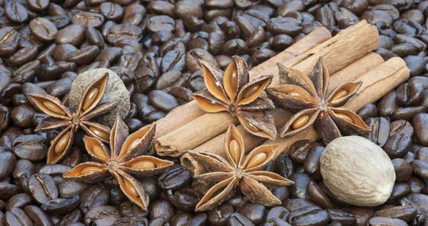 Detalle de imagen de granos de café, palitos de canela, anís sar y nuez —  Fotos de Stock