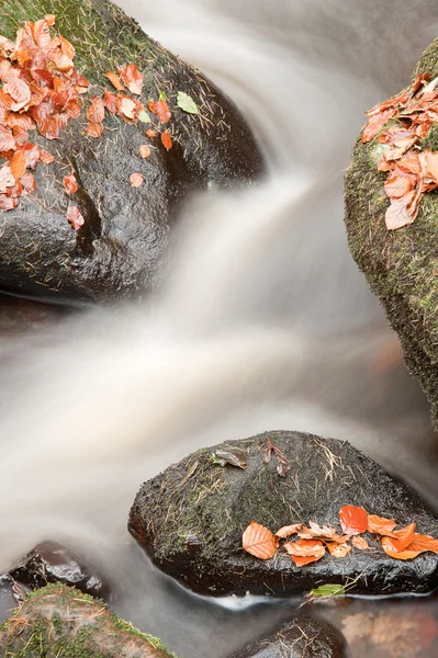 Прекрасный водопад, текущий осенью, яркий пейзаж осени — стоковое фото