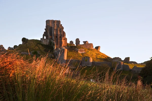 Mooie oude kasteel ruïne op herfst ochtend — Stockfoto